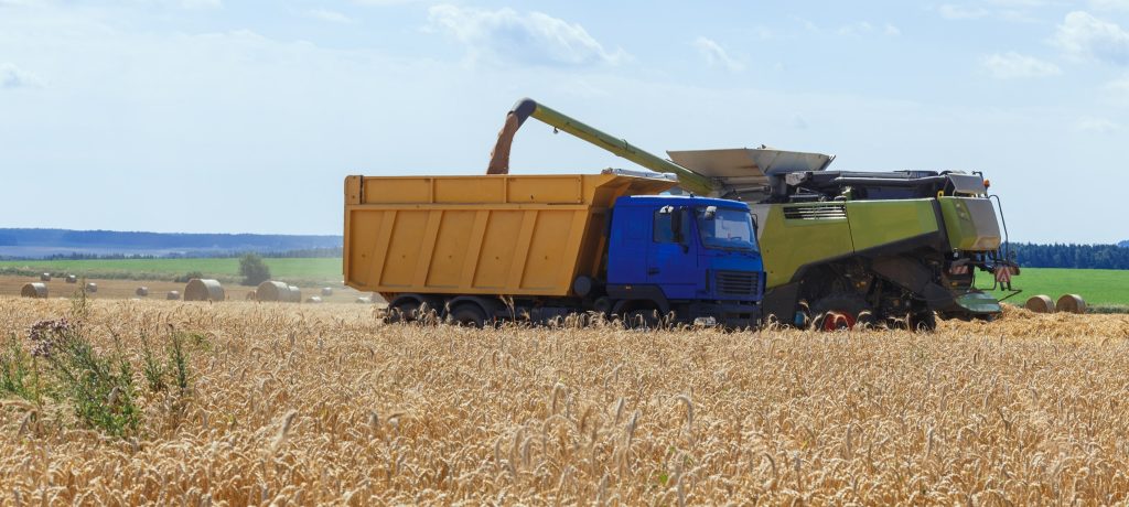 Nuove vie per la crescita dell’industria molitoria italiana
