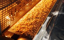 Formarsi per acquisire e migliorare competenze tecniche e professionali