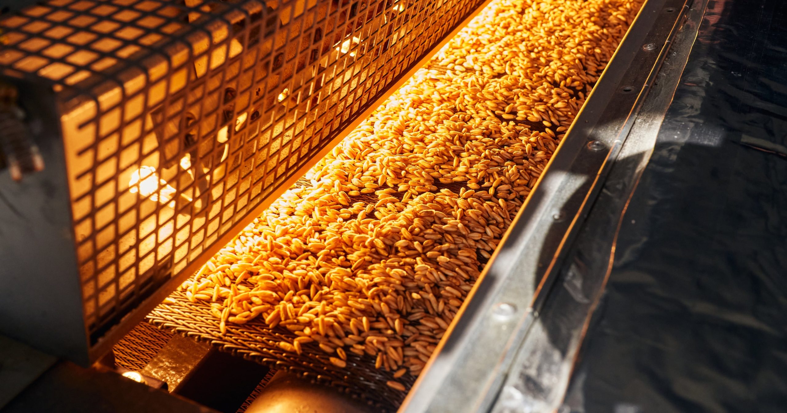 Formarsi per acquisire e migliorare competenze tecniche e professionali