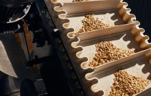 Produzione ed export distintivi per il molitorio