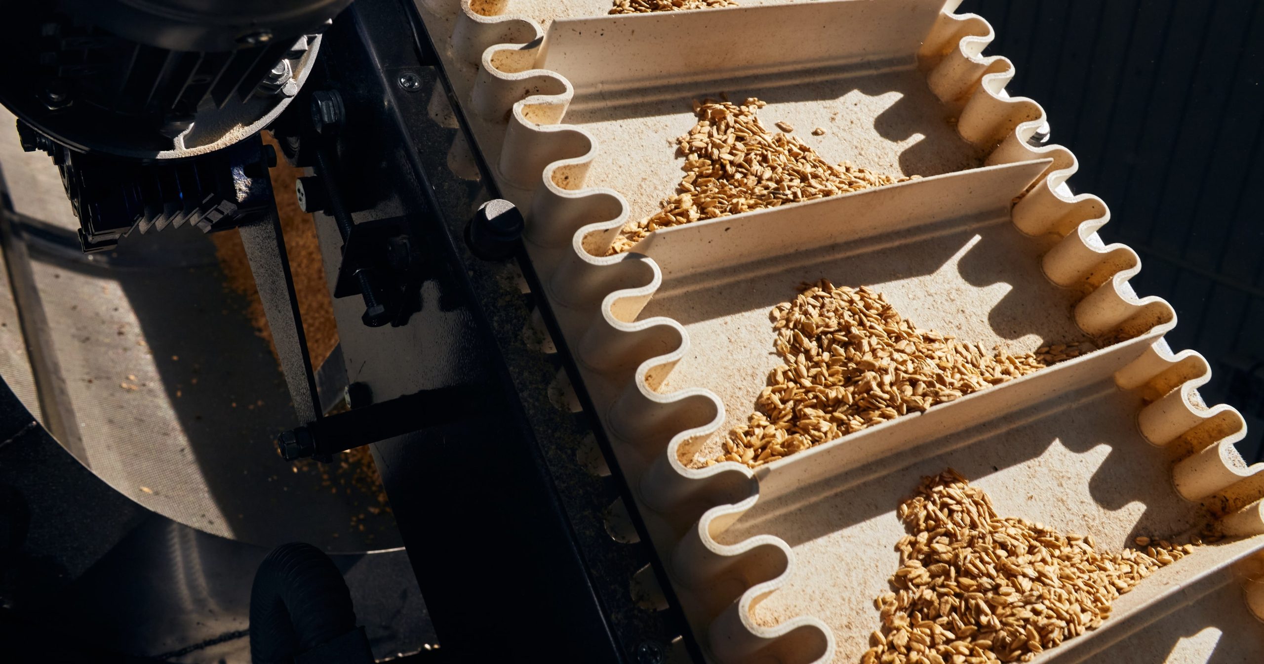 Produzione ed export distintivi per il molitorio