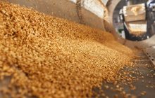 Assemblea generale Antim 2025