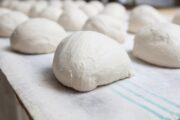 I fermenti lattici