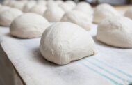 I fermenti lattici