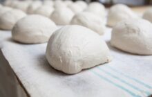 I fermenti lattici