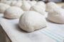 I fermenti lattici