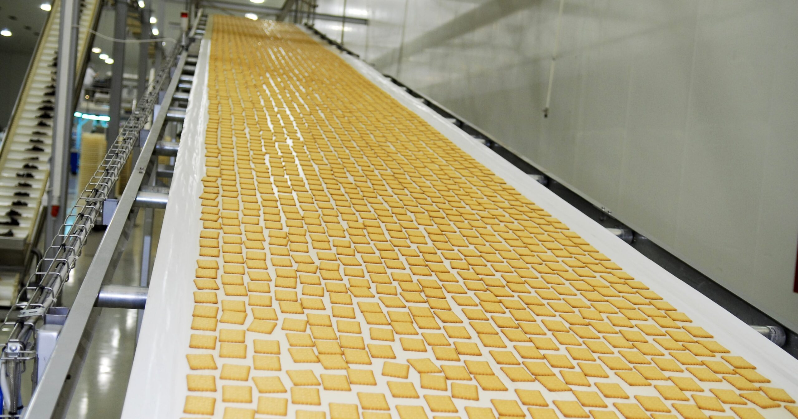 La produzione alimentare 2025 rischia di chiudere col segno meno