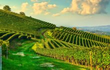 Assemblea Generale Italmopa 2025: eletto il nuovo Presidente