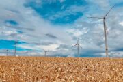 Transizione verde e resilienza del settore: queste le sfide per il settore molitorio europeo