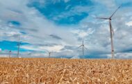 Transizione verde e resilienza del settore: queste le sfide per il settore molitorio europeo