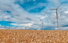 Transizione verde e resilienza del settore: queste le sfide per il settore molitorio europeo