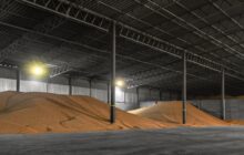 Dare priorità al superamento delle criticità strutturali della filiera