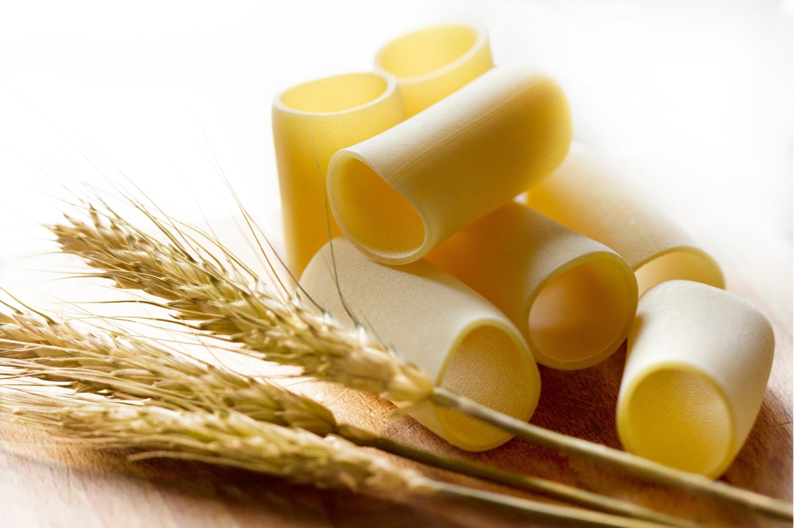 “From Seed to Pasta V”: genetica e sostenibilità al servizio del molitorio