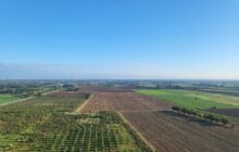 Sostenere le nostre tesi con trasparenza, aprendo le porte delle nostre imprese