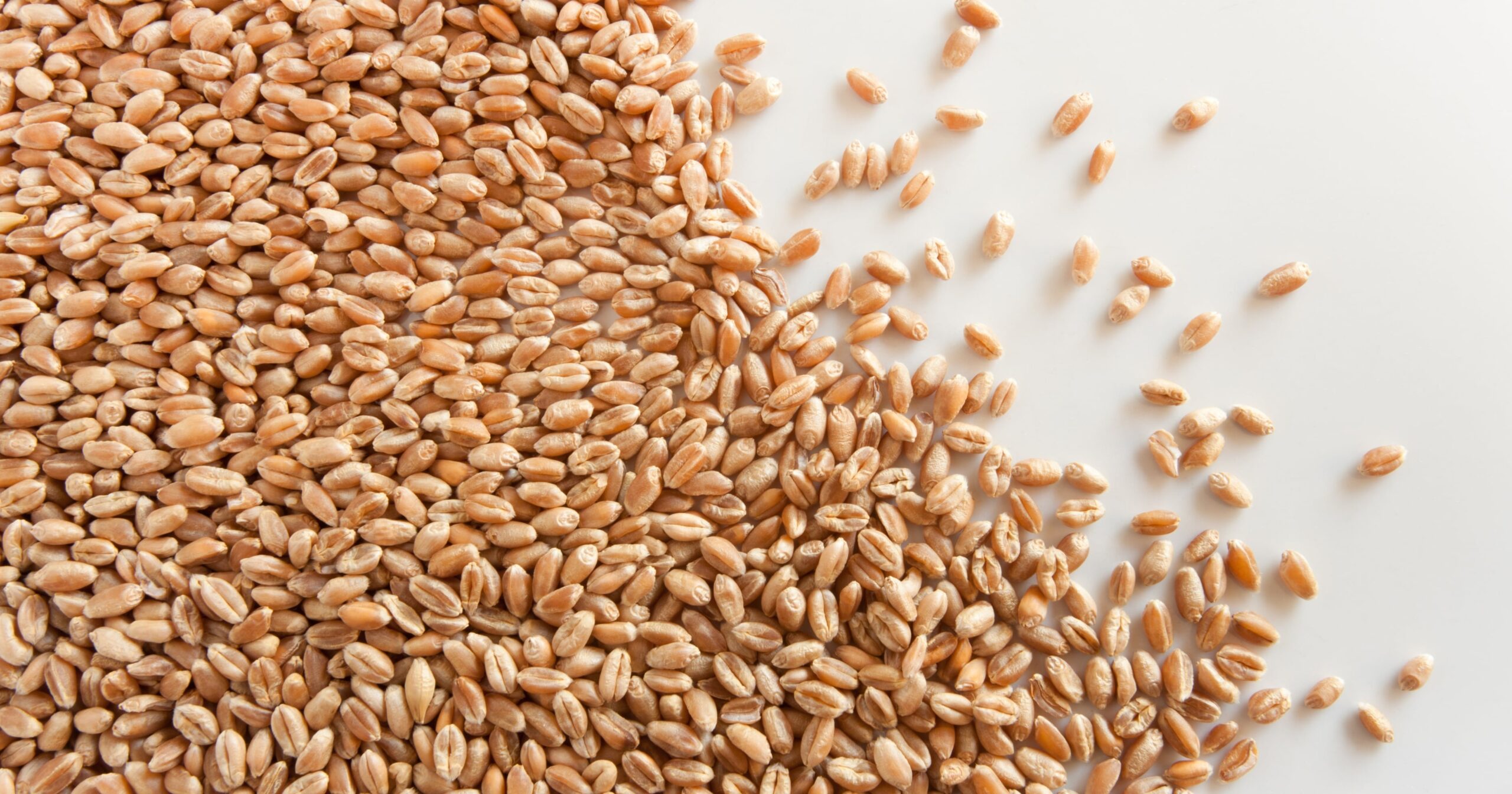 Funzione e ruolo del manutentore meccanico negli impianti molitori