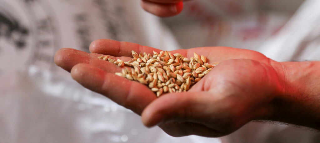 Stabilità e programmazione per l’industria molitoria