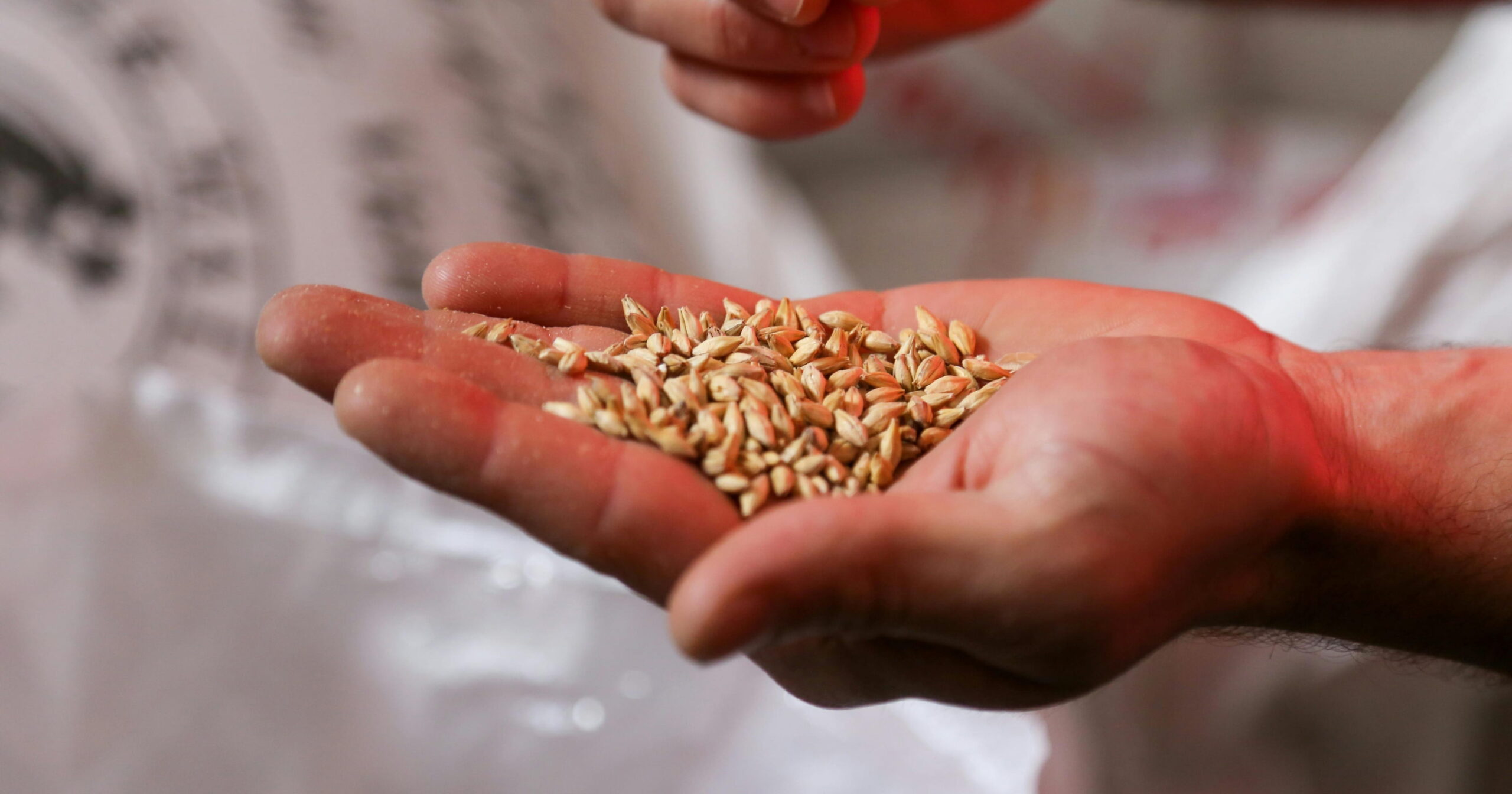 Stabilità e programmazione per l’industria molitoria