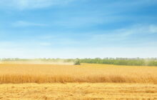 Aumentare visibilità e comunicazione della Granaria di Milano