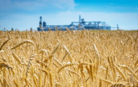 Gruppo Giovani Italmopa: nastri di partenza per i nuovi vertici