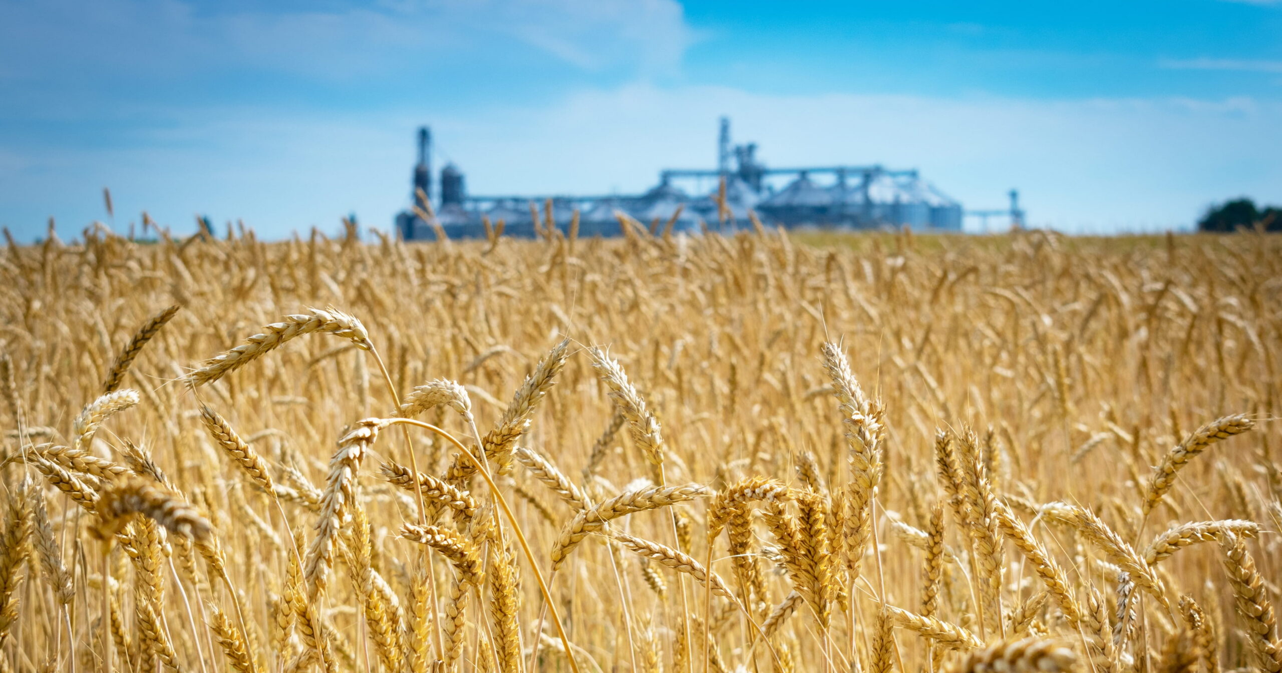 Gruppo Giovani Italmopa: nastri di partenza per i nuovi vertici