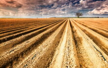 FAO MuNe: un viaggio tra tradizione e innovazione