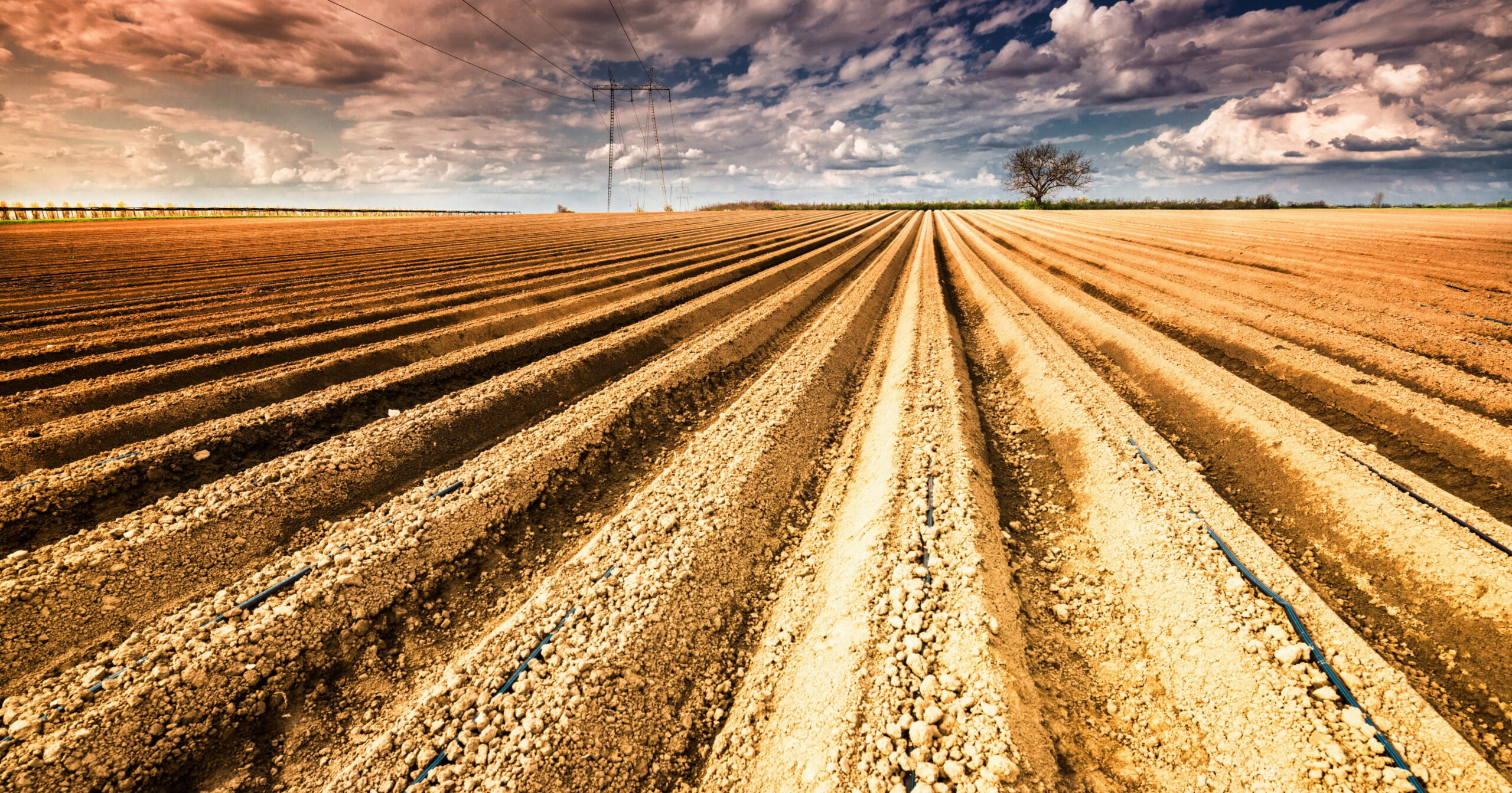 FAO MuNe: un viaggio tra tradizione e innovazione