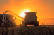 Focus sulla produzione cerealicola canadese
