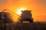 Focus sulla produzione cerealicola canadese