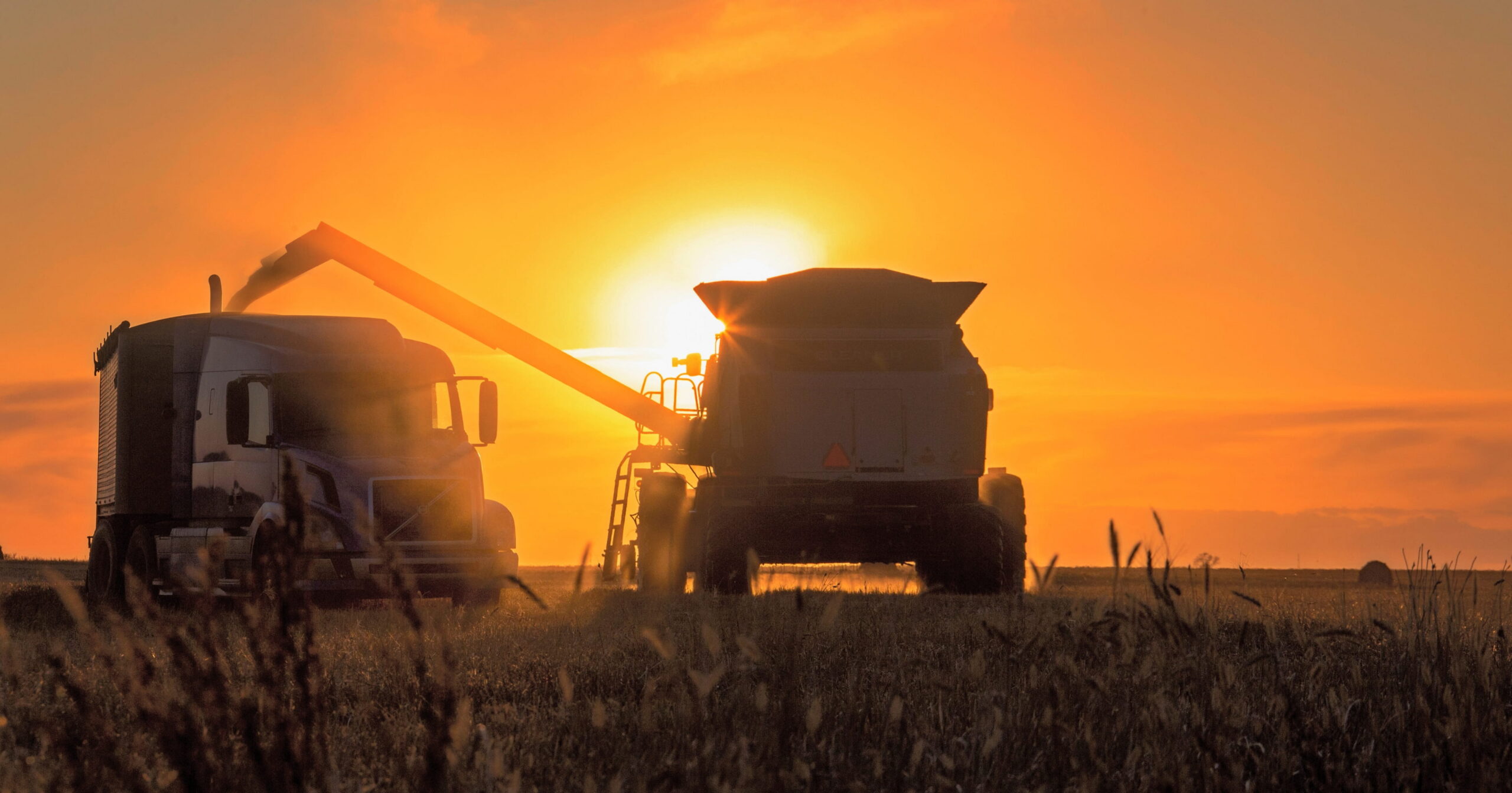 Focus sulla produzione cerealicola canadese