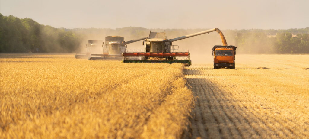 Materia prima: mai trascurare la qualità