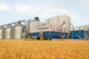Passaggi generazionali e progetti di vita: opportunità e riflessioni da casi concreti